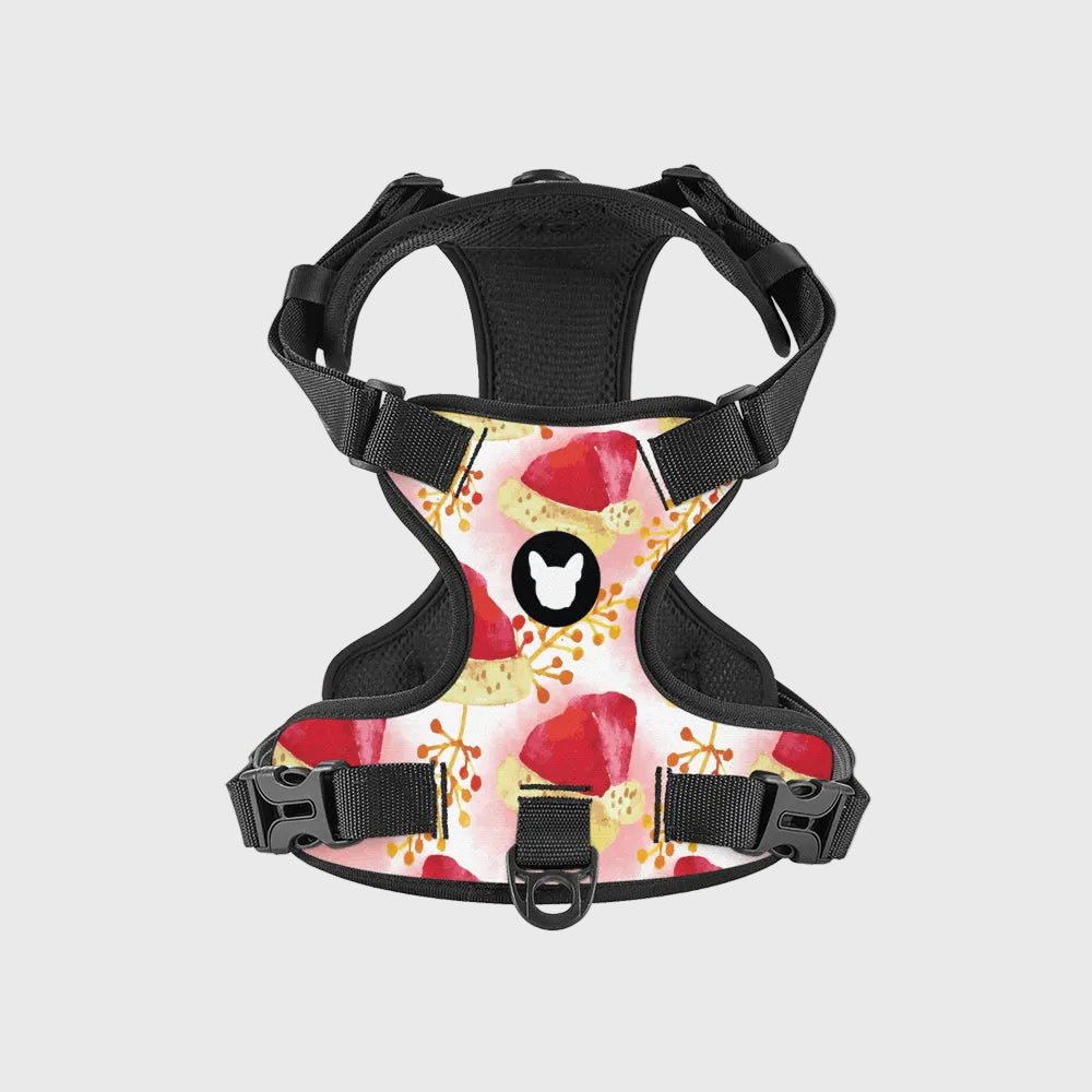 French Bulldog Harness – Breathable, No-Pull & Adjustable Straps