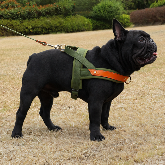 French Bulldog No-Pull Harness – Soft Padded Leather Vest