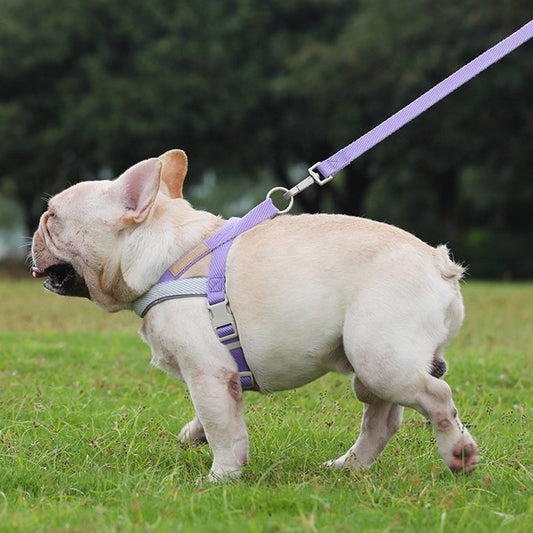 French Bulldog Vest Harness & Leash Set – Durable Walking Rope