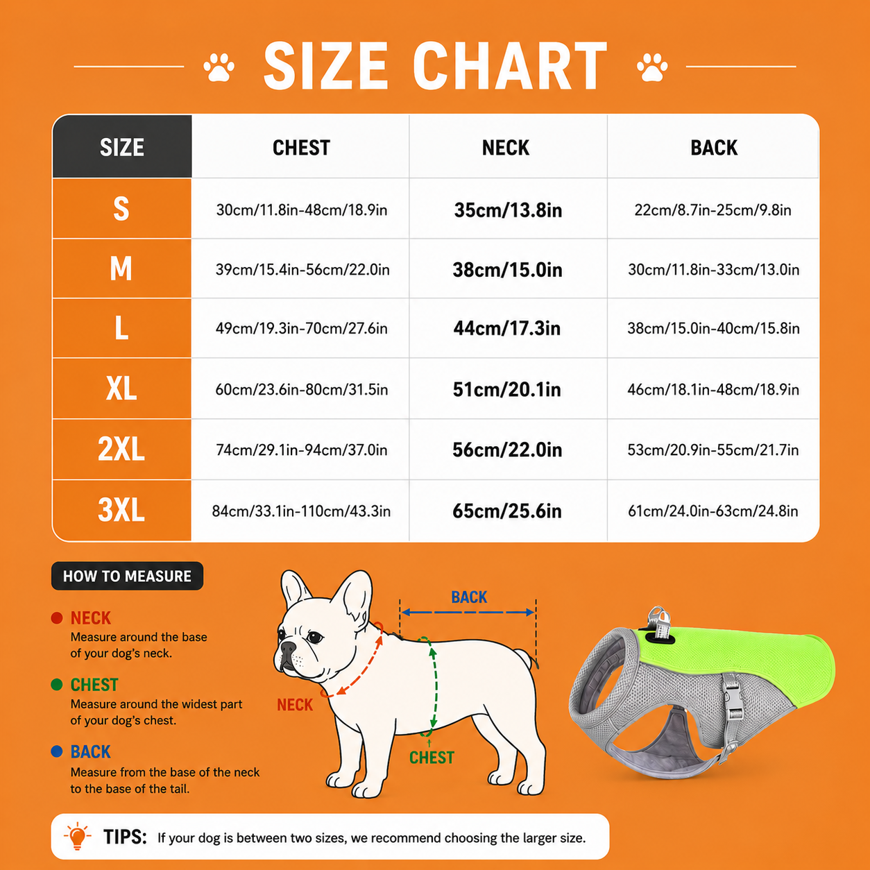 French Bulldog Cooling Vest – Breathable Summer Heat Protection