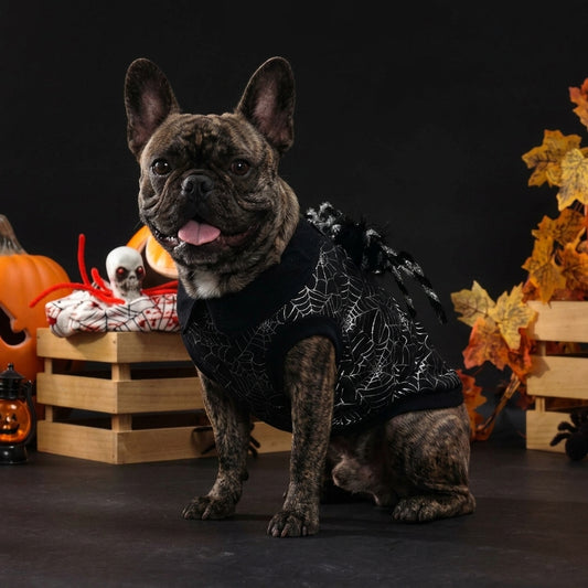 French Bulldog Spiderweb Costume β Black Halloween Coat Decor