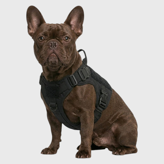 French Bulldog Tactical Training Vest – Adjustable Nylon Harness