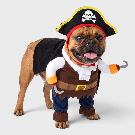 French Bulldog Pirate Costume β Cute Two-Legged Transforming Outfit
