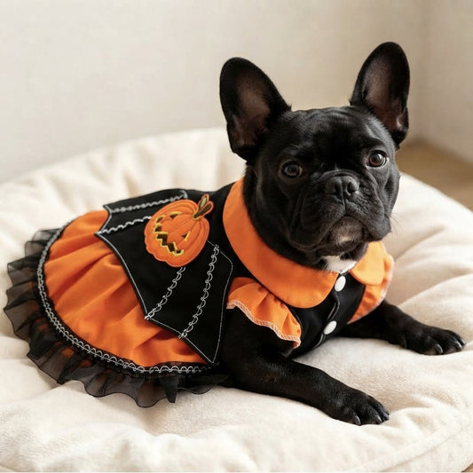 French Bulldog Pumpkin Dress β Whimsical Halloween Party Outfit