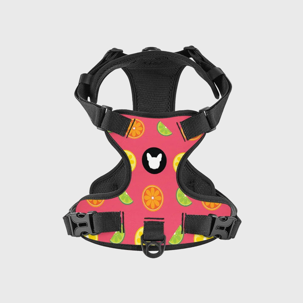 Comfort-Fit Harness for French Bulldogs – Breathable, No-Pull Support