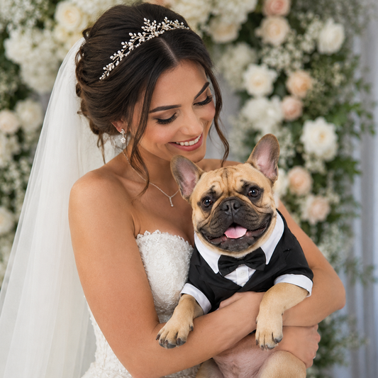 French Bulldog Wedding Tuxedo – Gentleman Bow Tie Formal Suit