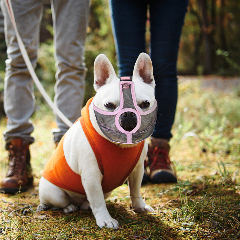 Best French Bulldog muzzles: the safe option for Frenchies, and why it matters