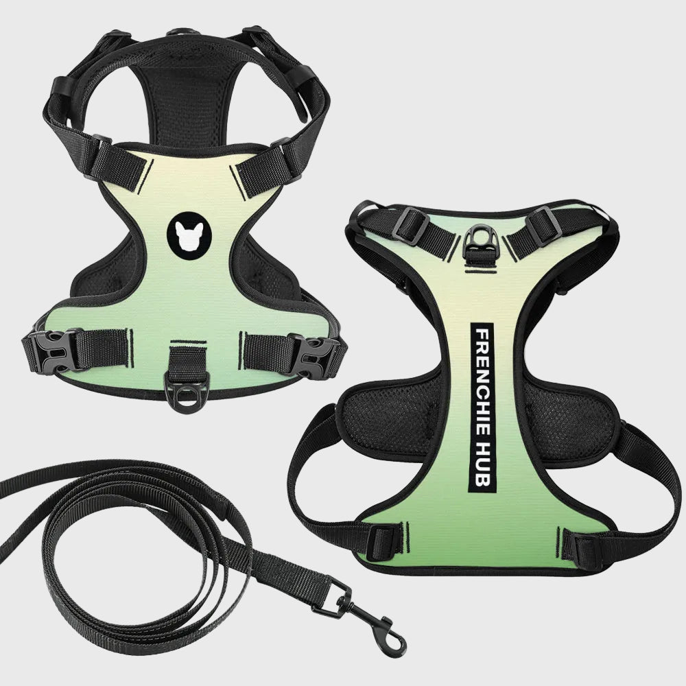 French Bulldog No-Pull Harness – Breathable & Adjustable Fit