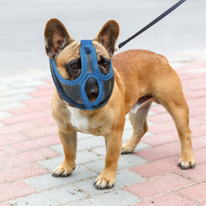 French Bulldog Muzzle – Stop Random Eating & Safe Walk Mask