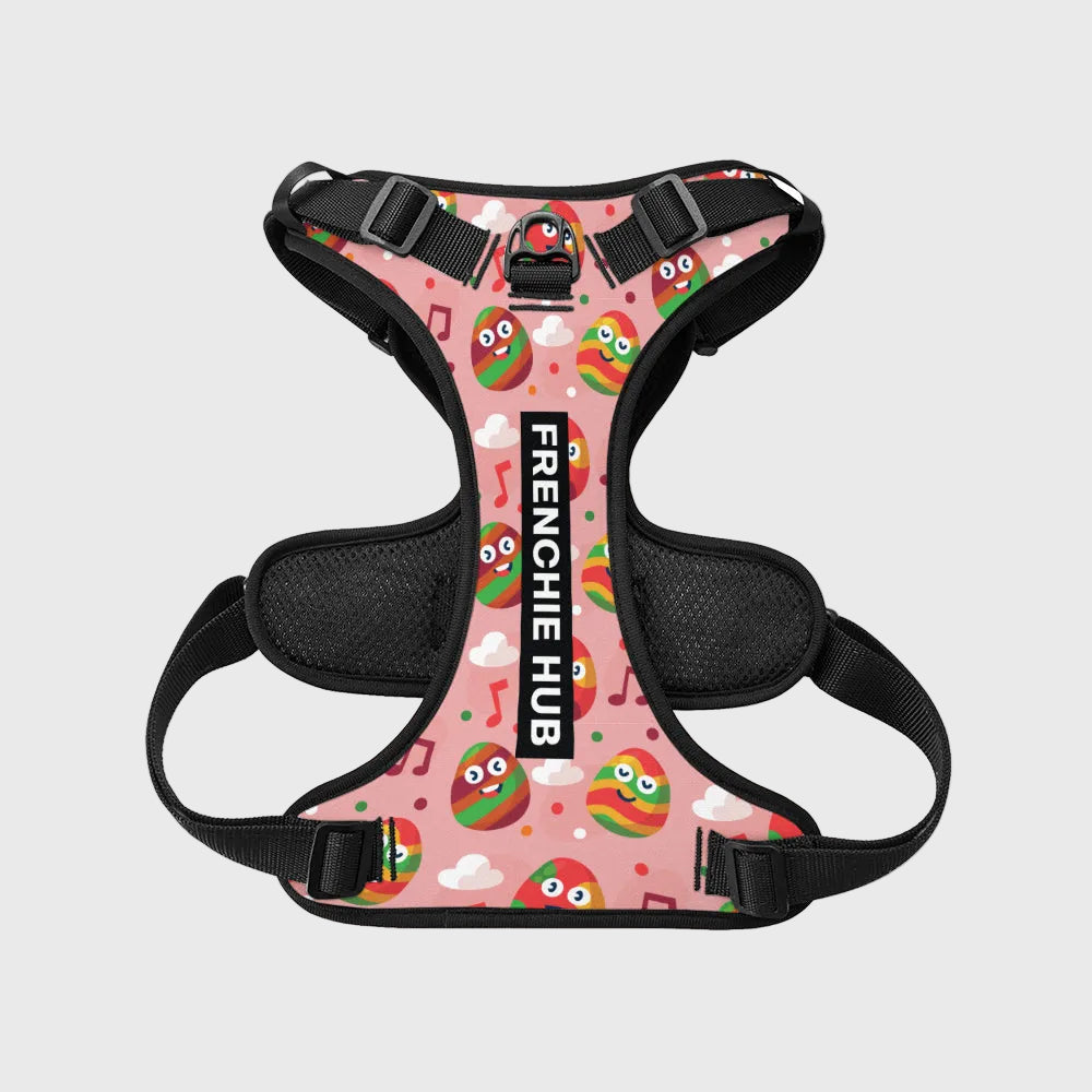 French Bulldog Vest Harness – Breathable Mesh, No-Pull Control