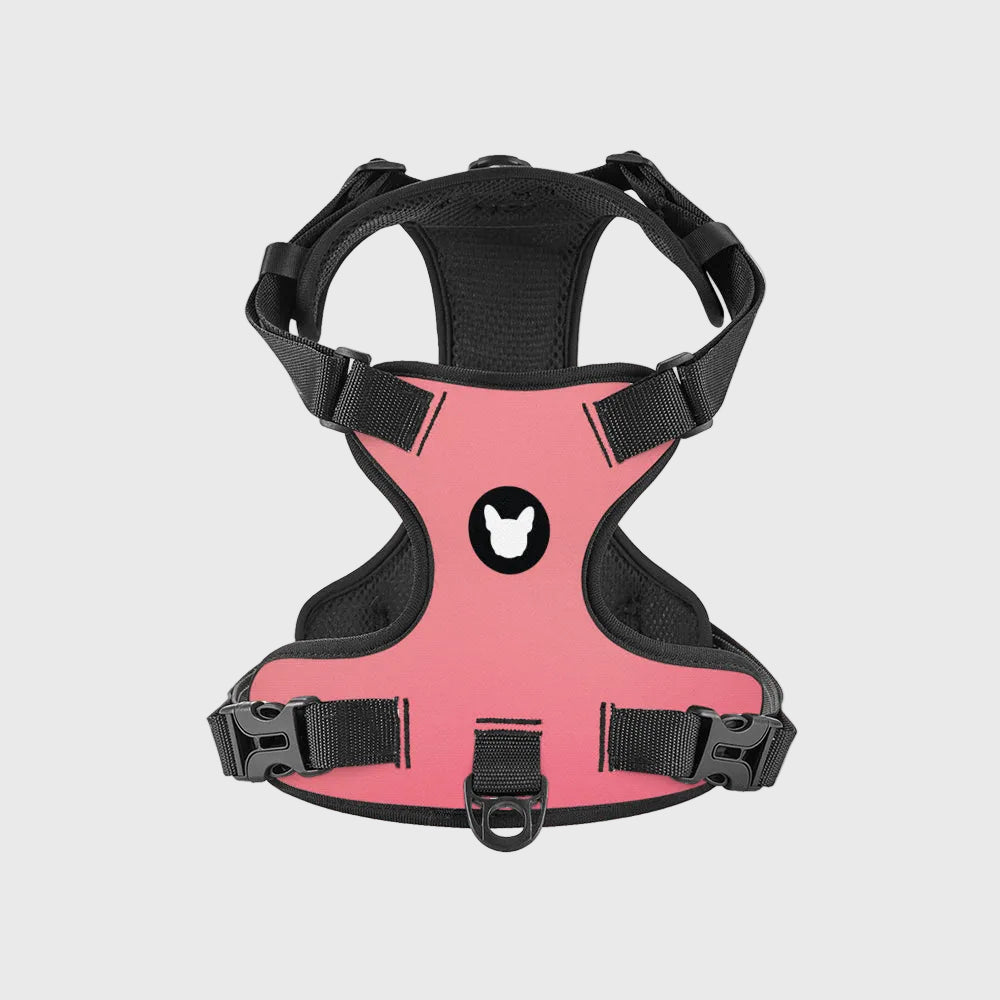 No-Pull French Bulldog Harness – Adjustable Straps, Breathable Mesh