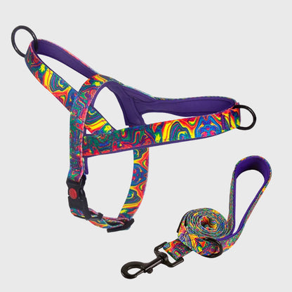 French Bulldog Anti-Pull Nylon Harness – Leash Set Chest Back