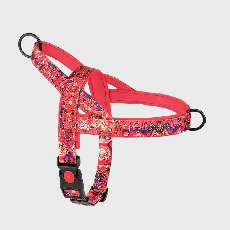 French Bulldog Anti-Pull Nylon Harness – Leash Set Chest Back