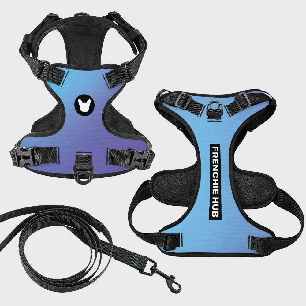 French Bulldog Harness – Adjustable, Breathable & Built for Comfort