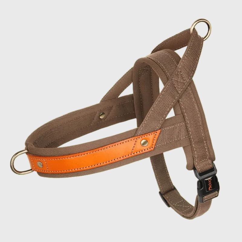 French Bulldog No-Pull Harness – Soft Padded Leather Vest