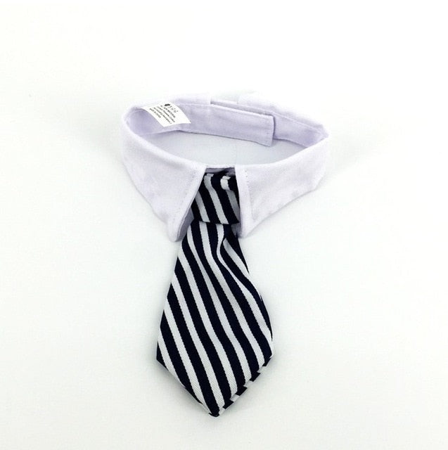 French Bulldog Bow Tie Collar