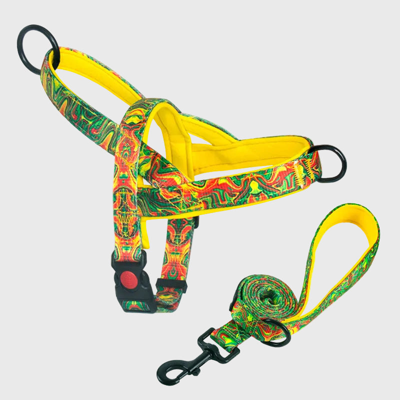 French Bulldog Anti-Pull Nylon Harness – Leash Set Chest Back