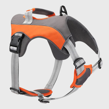 French Bulldog Reflective Chest Harness – Explosion-Proof Vest
