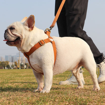 French Bulldog PU Leather Harness – Tank Top Style Chest Back