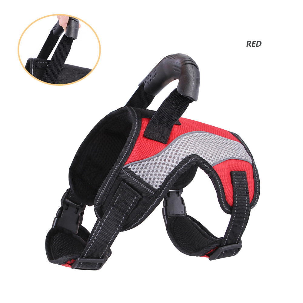 French Bulldog No-Pull Harness – Breathable Mesh Traction Control