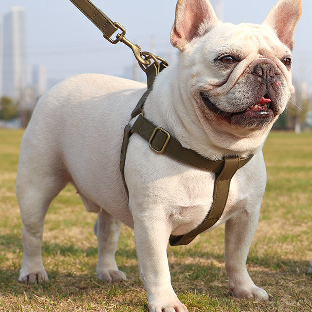 French Bulldog PU Leather Harness – Tank Top Style Chest Back