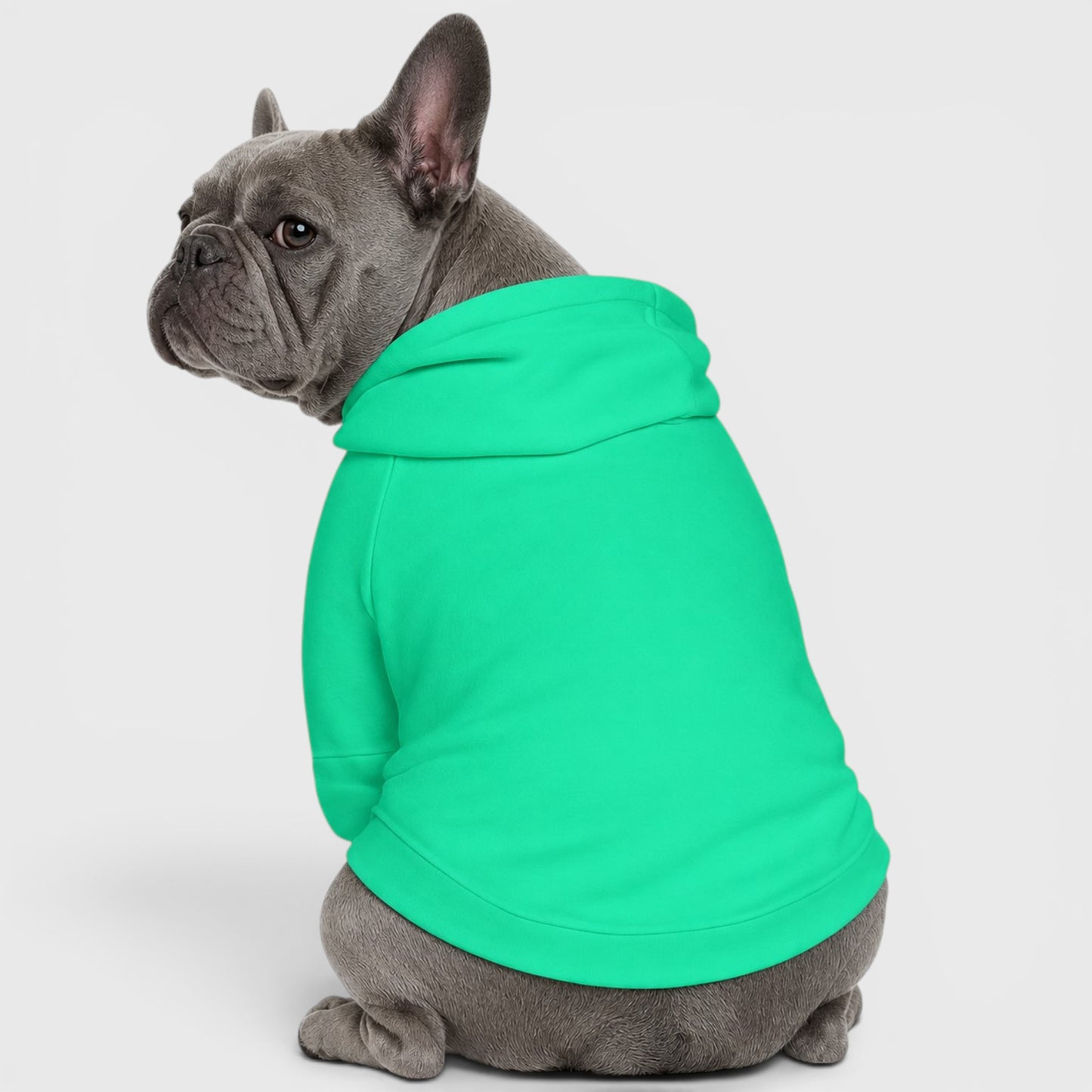 French Bulldog Cotton Hoodie – Cozy Dog Sweatshirt for Small Dogs