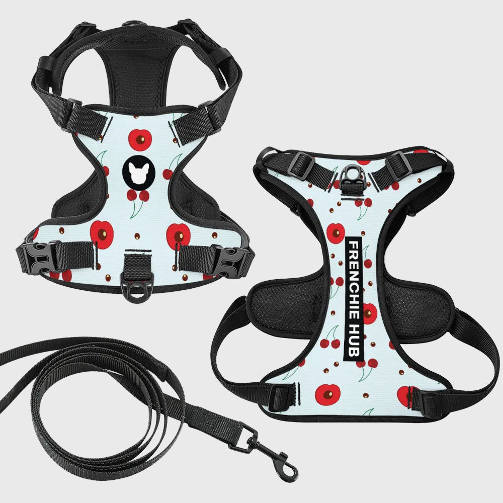 French Bulldog Harness Set – Adjustable Straps, Breathable Mesh Design