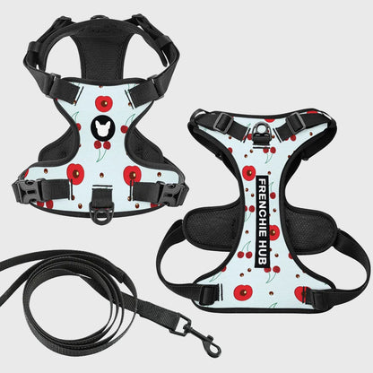 French Bulldog Harness Set – Adjustable Straps, Breathable Mesh Design