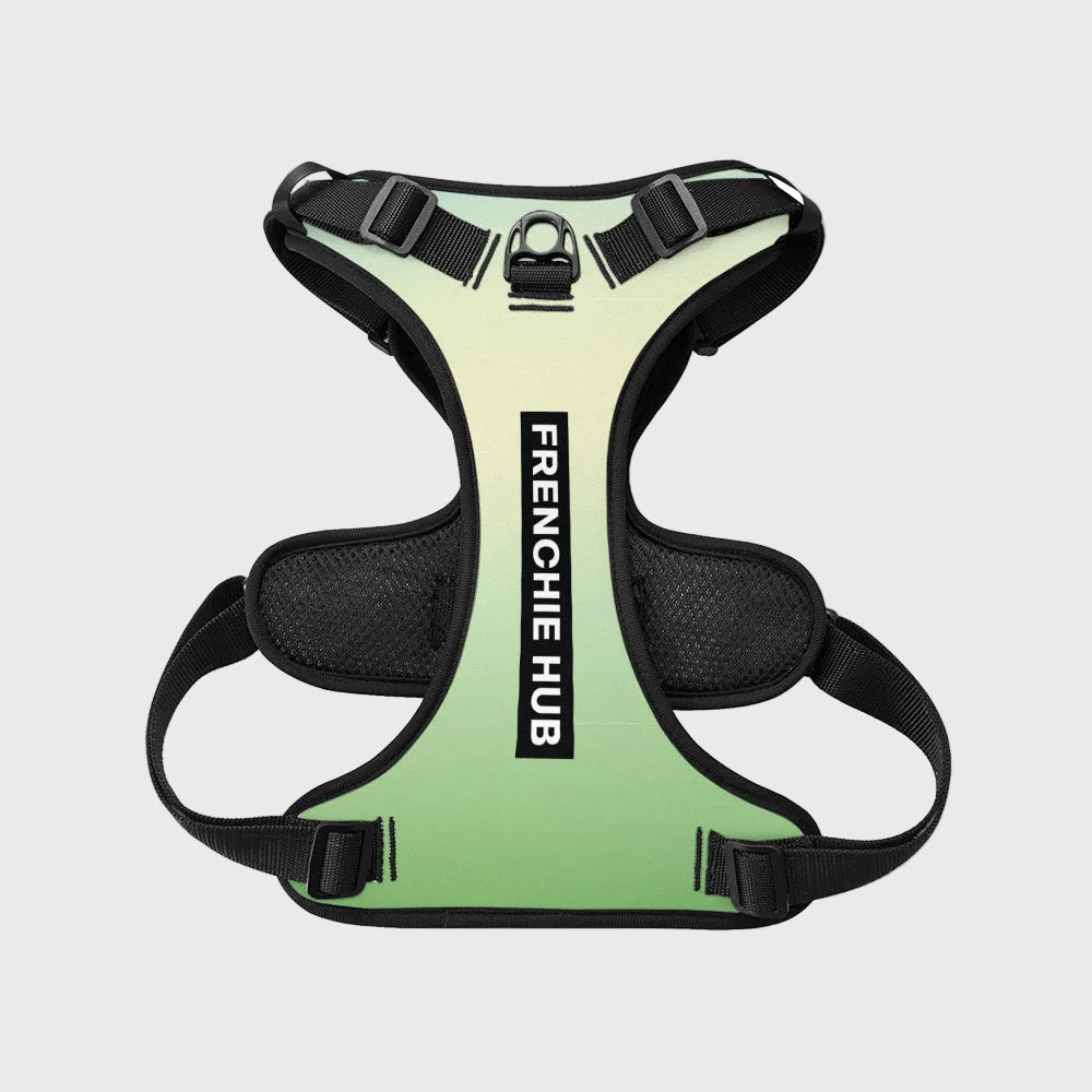 French Bulldog No-Pull Harness – Breathable & Adjustable Fit