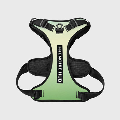 French Bulldog No-Pull Harness – Breathable & Adjustable Fit