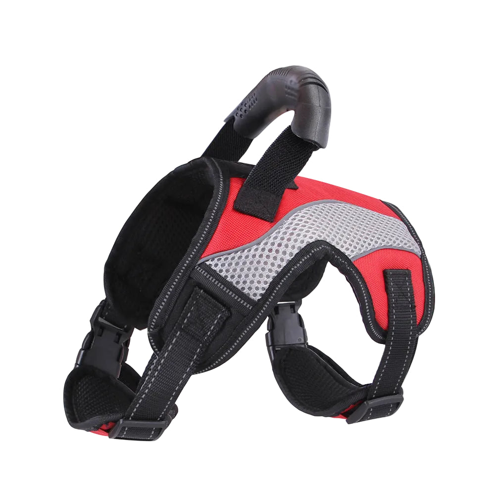 French Bulldog No-Pull Harness – Breathable Mesh Traction Control