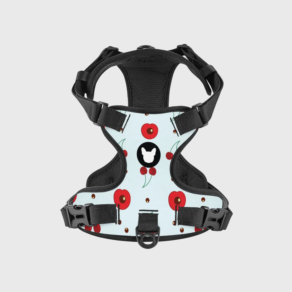 French Bulldog Harness Set – Adjustable Straps, Breathable Mesh Design