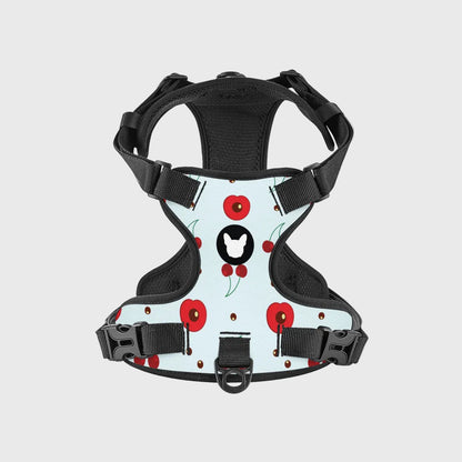 French Bulldog Harness Set – Adjustable Straps, Breathable Mesh Design