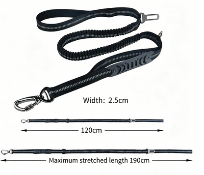 French Bulldog Elastic Reflective Leash – Car Safety Belt Combo