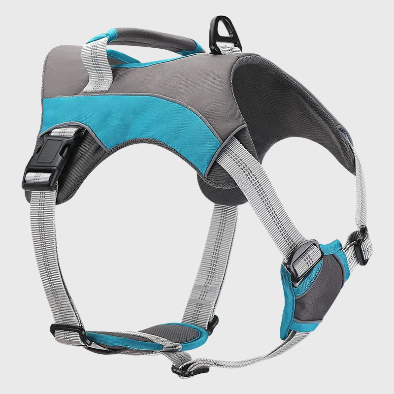 French Bulldog Reflective Chest Harness – Explosion-Proof Vest