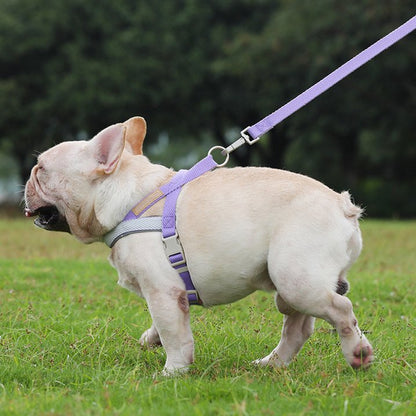 French Bulldog Vest Harness & Leash Set – Durable Walking Rope