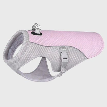 French Bulldog Cooling Vest – Breathable Summer Heat Protection