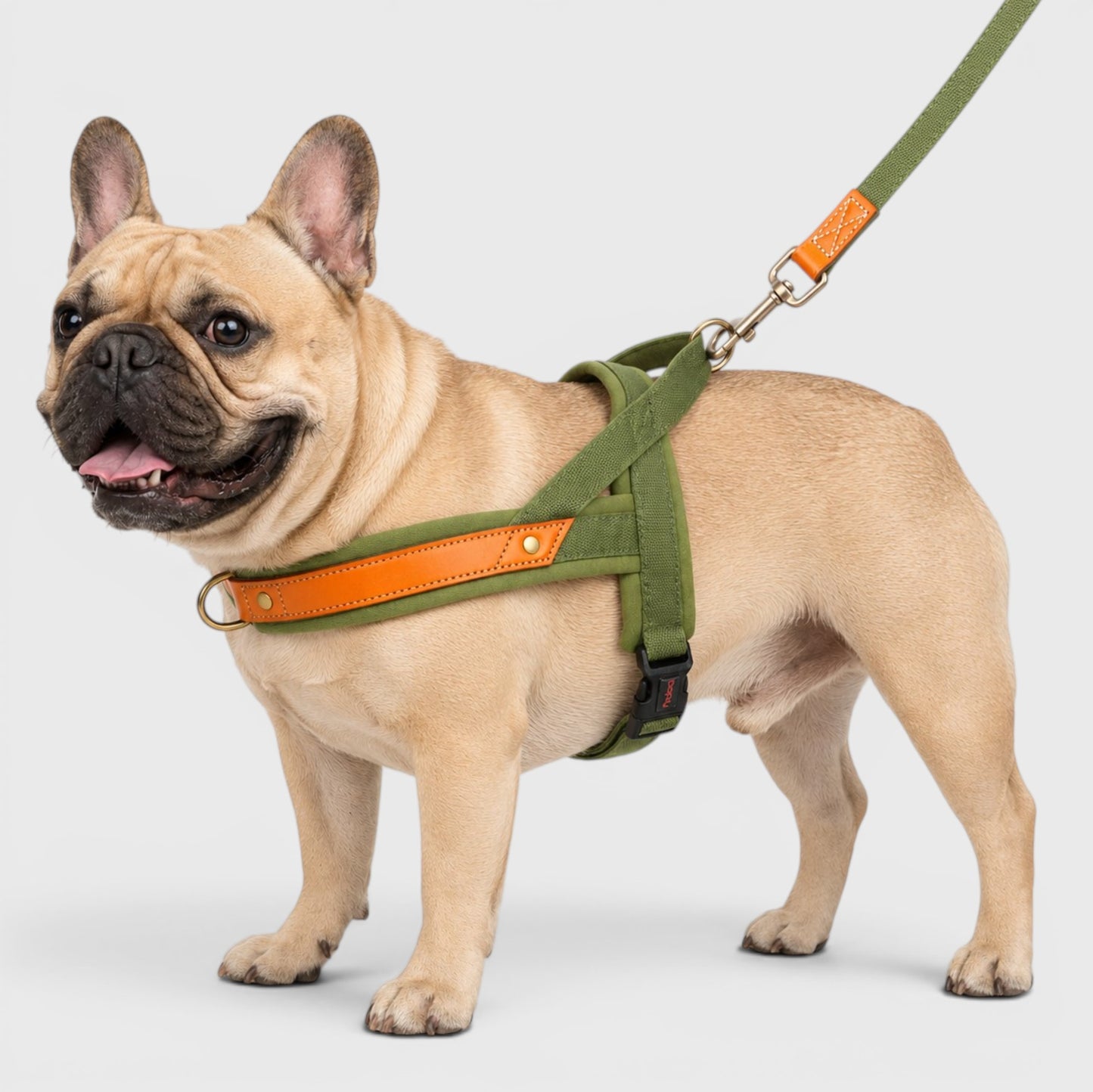 French Bulldog No-Pull Harness – Soft Padded Leather Vest
