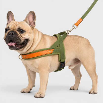 French Bulldog No-Pull Harness – Soft Padded Leather Vest