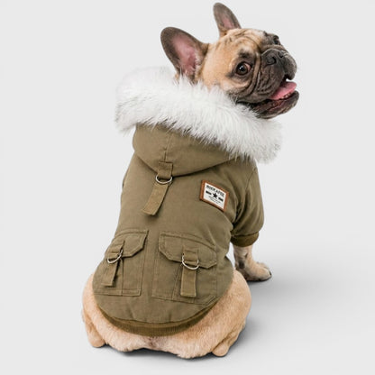 French Bulldog Winter Hooded Coat – Warm Fleece Padded Jacket