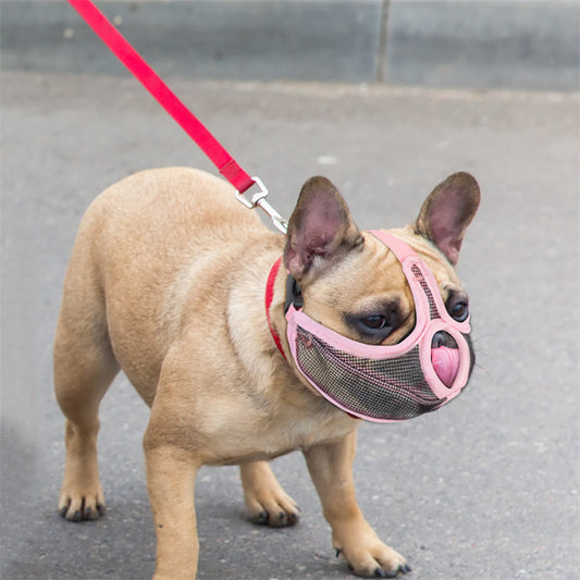 French Bulldog Muzzle – Stop Random Eating & Safe Walk Mask