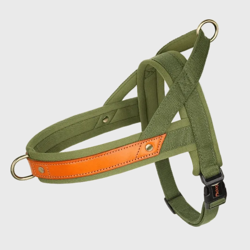 French Bulldog No-Pull Harness – Soft Padded Leather Vest