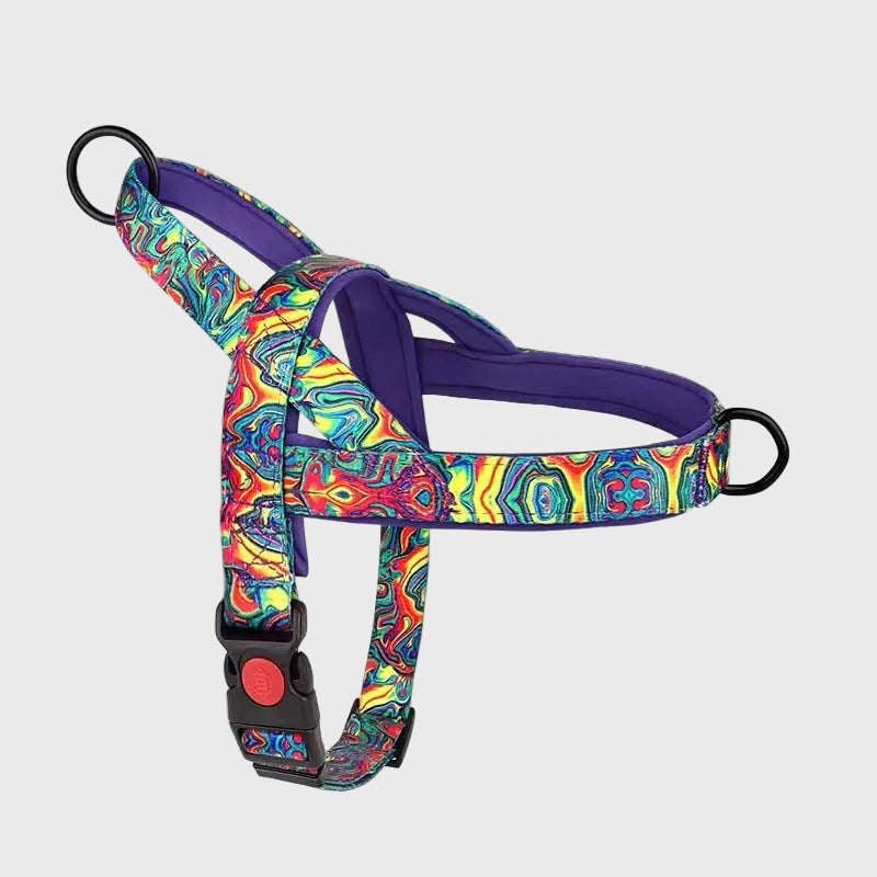 French Bulldog Anti-Pull Nylon Harness – Leash Set Chest Back
