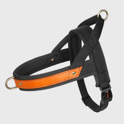 French Bulldog No-Pull Harness – Soft Padded Leather Vest