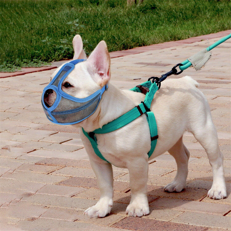 French Bulldog Muzzle – Stop Random Eating & Safe Walk Mask