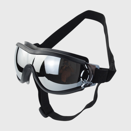 French Bulldog Sunglasses – Windproof UV Protection Pet Glasses
