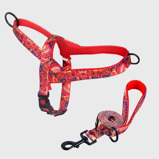 French Bulldog Anti-Pull Nylon Harness – Leash Set Chest Back