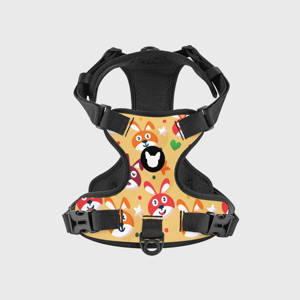 Frenchie-Fit Harness – Adjustable, Breathable & Built to Stop Pulling