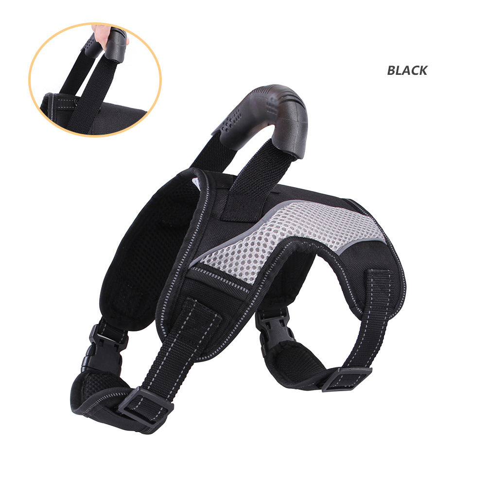French Bulldog No-Pull Harness – Breathable Mesh Traction Control