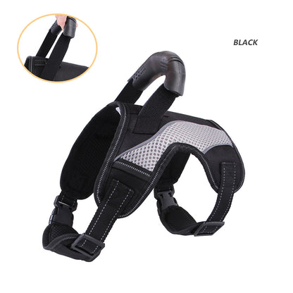 French Bulldog No-Pull Harness – Breathable Mesh Traction Control